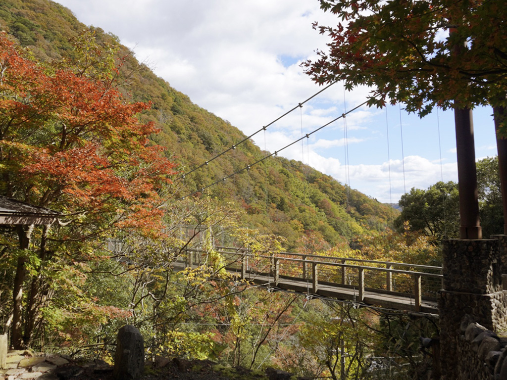 秋の山道を越えて新童子橋へ
