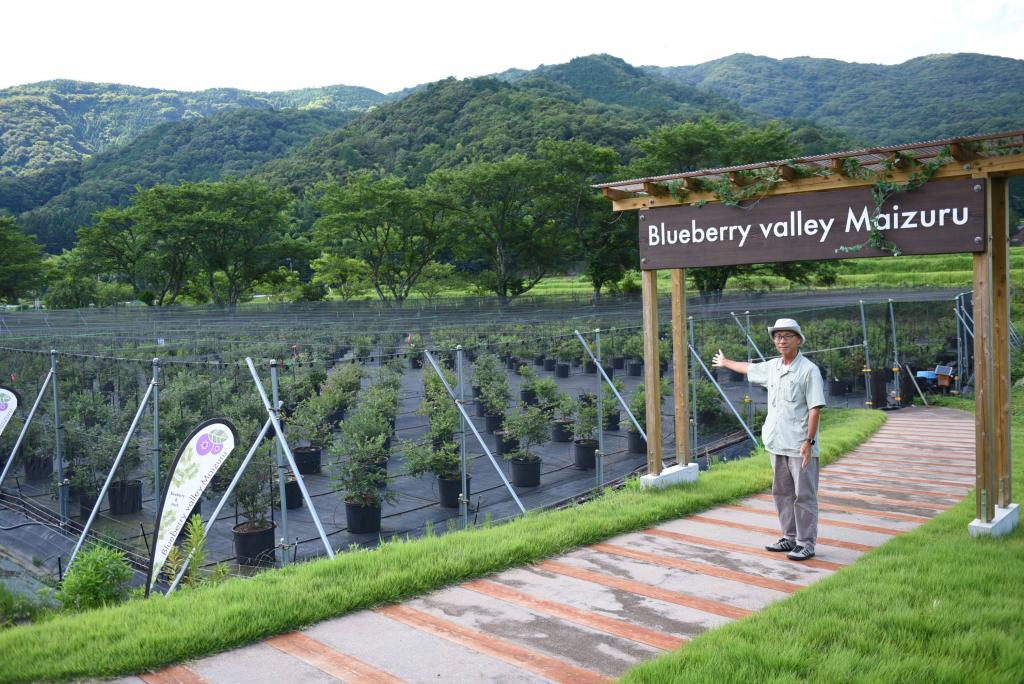 限界集落にブルーベリーの観光農園