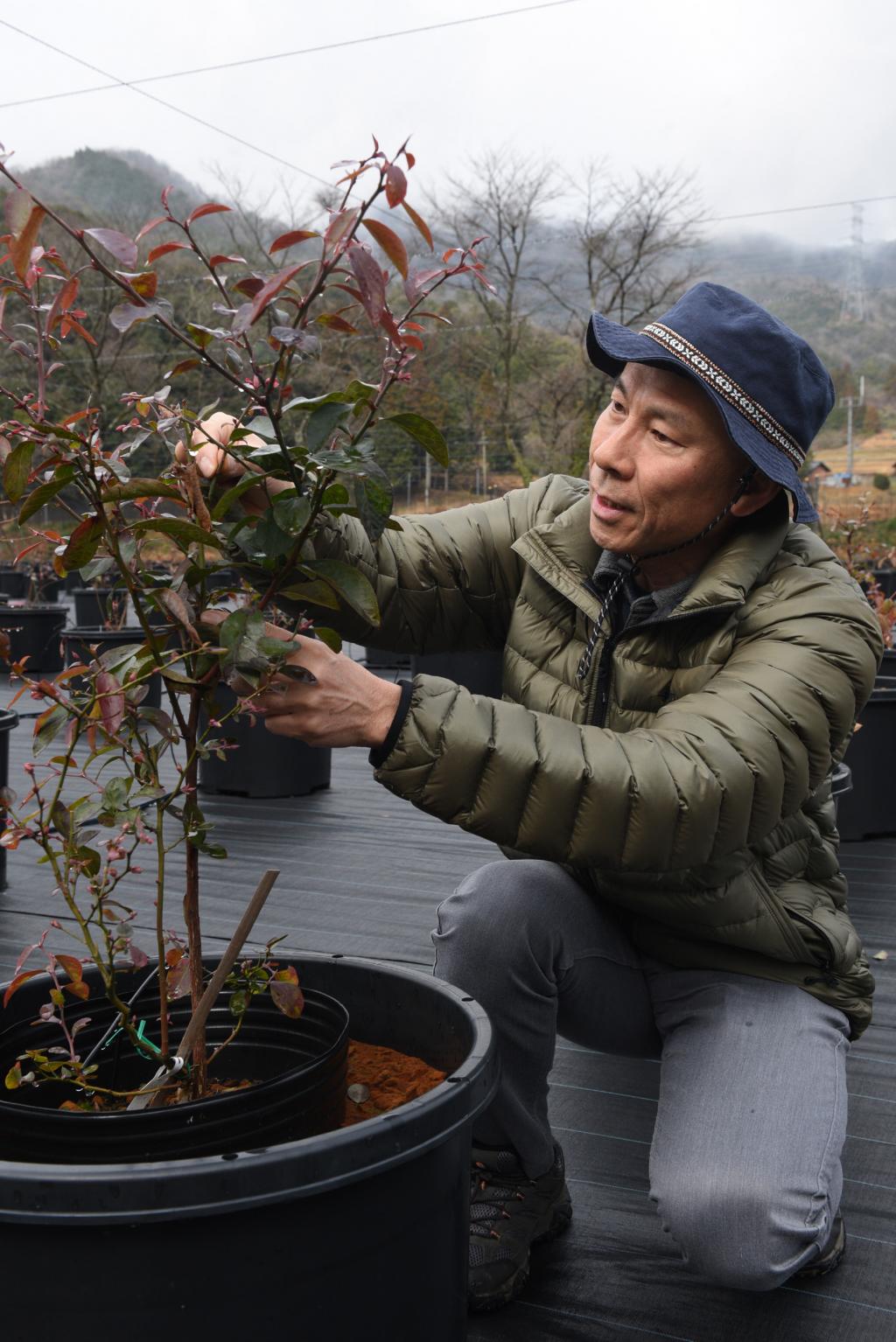 誘客と持続可能な農業を