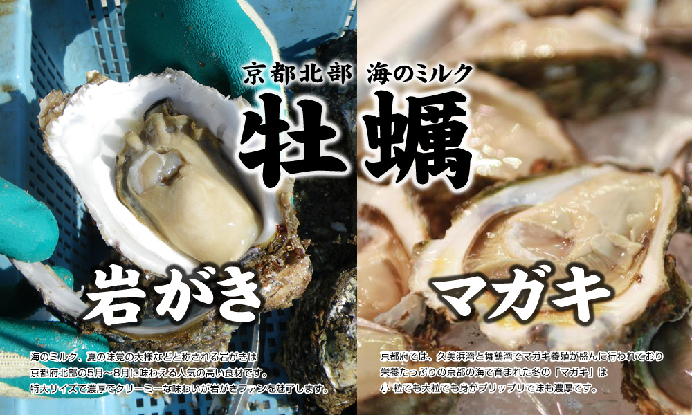 京都北部で海のミルク「岩がき」「真牡蠣」をランチで食す