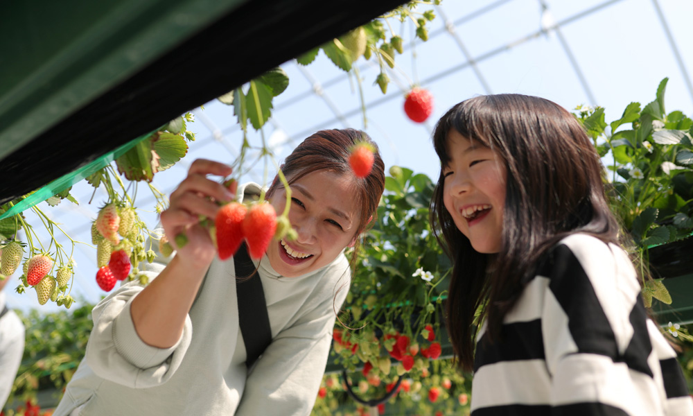 【Berry Berryトレイル】 | 海の京都モデルコース