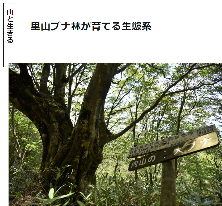 海の京都Times
～里山ブナ林が育てる生態系～