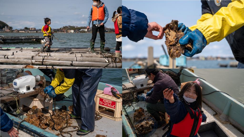 F.E.E. 風景と一緒に味わう！久美浜牡蠣の養殖体験&桟橋BBQ