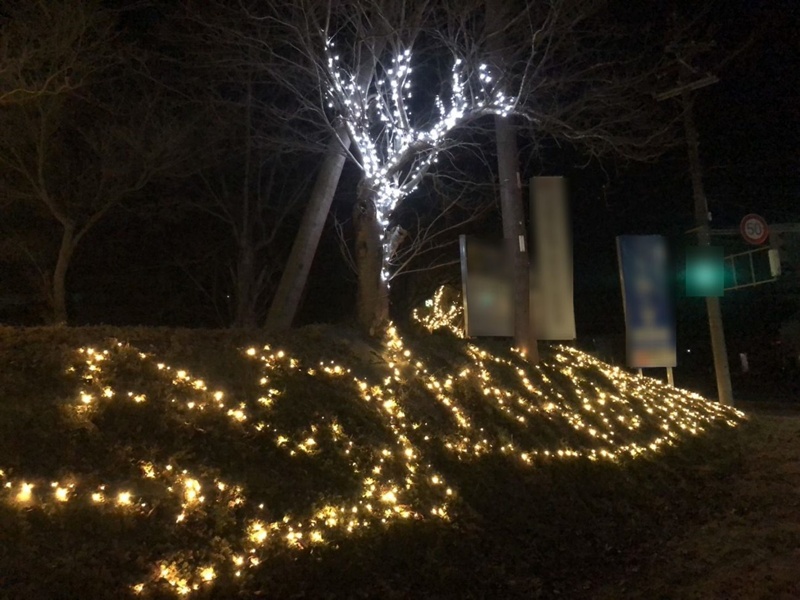 大宮ロードパーク　イルミネーション