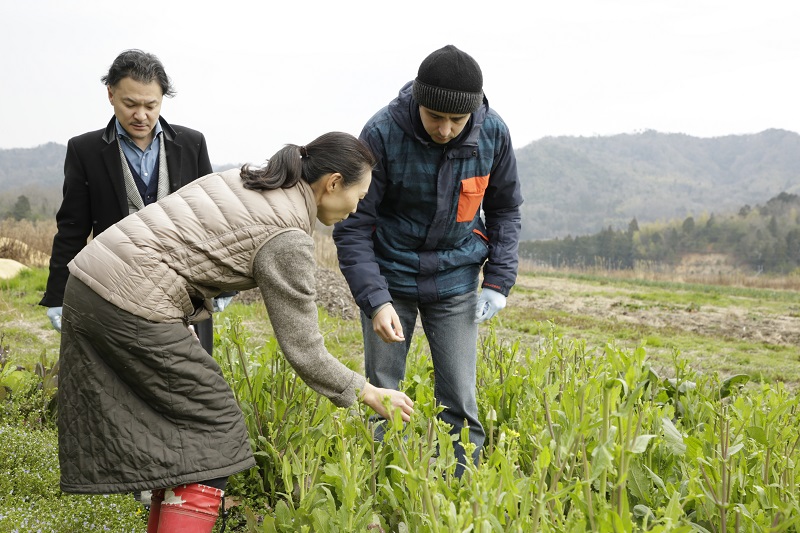 Organic Farm Tour & Cooking Class in Kyoto by the Sea