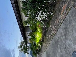 みんなのふる里