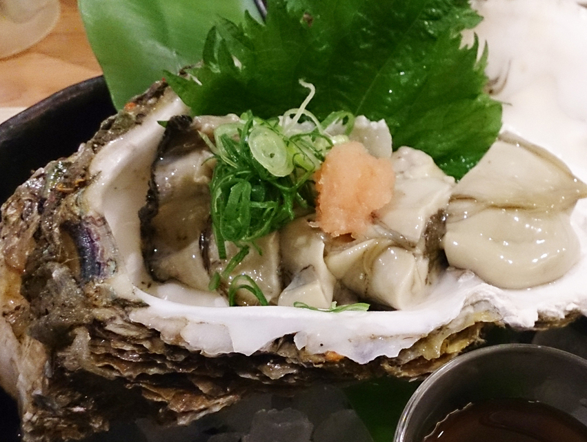 舞鶴魚料理　魚源（西舞鶴店）【旬食  夏】