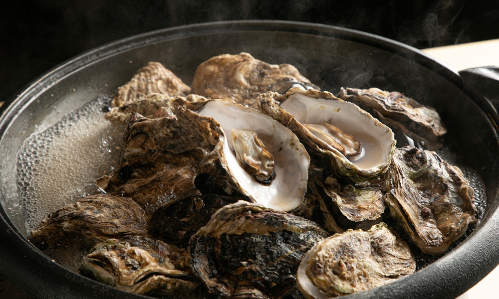 風蘭の館（京丹後市久美浜）