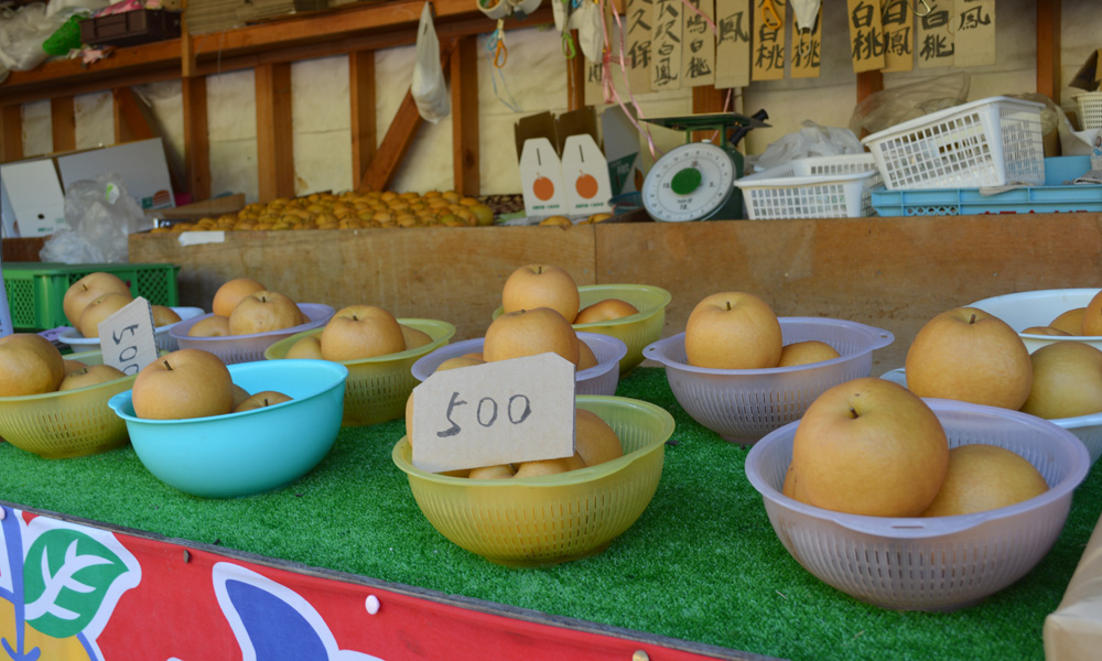 ⑮西垣農園直売所