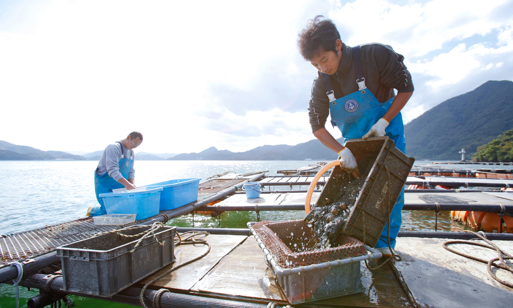 初夏の贅沢 丹後とり貝 特集 海の京都観光圏