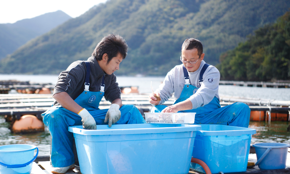 初夏の贅沢 丹後とり貝 特集 海の京都観光圏