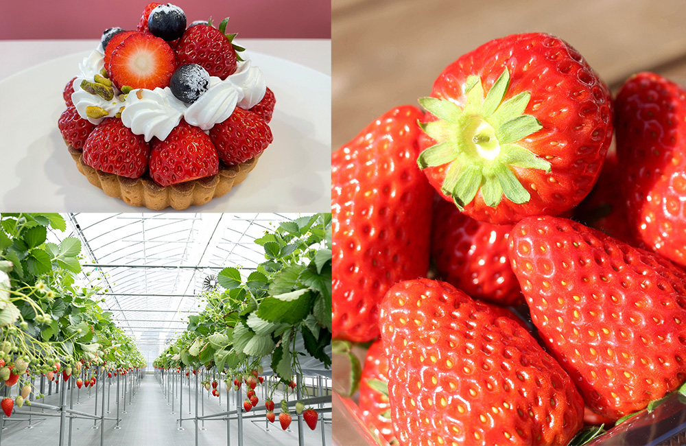 いちご狩りも楽しめる「GrandBerry」