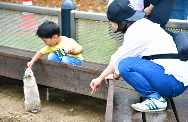 綾部ふれあい牧場（綾部市）