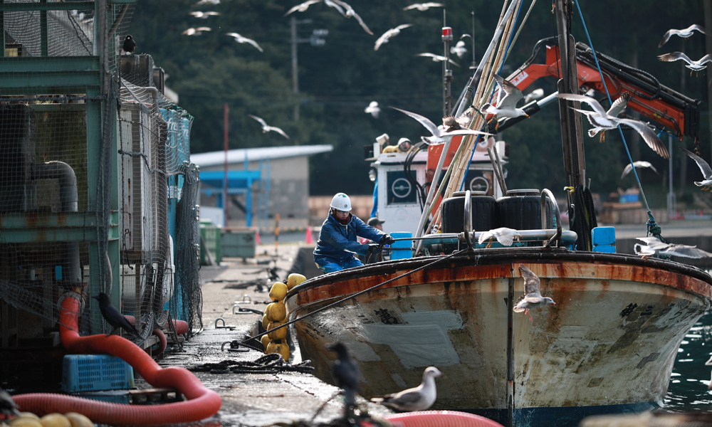 伊根町は日本三大鰤漁場のひとつ