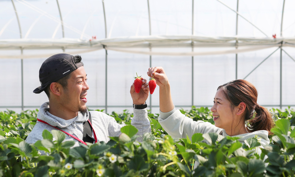 イチゴ（季節・時期：3月中旬～5月中旬）