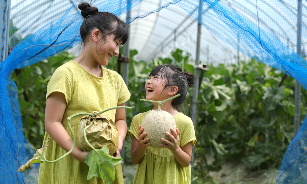 メロン（季節・時期：6月下旬～8月中旬）