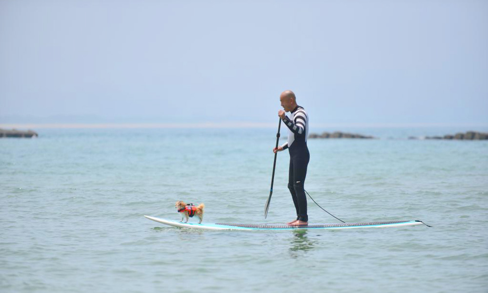 京丹後市/夕日ヶ浦海岸で楽しむ!みんなでワイワイSUP体験!(135°EAST)