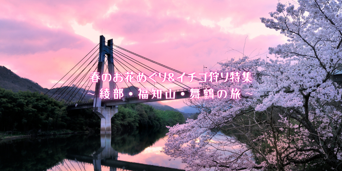 春のお花めぐりとイチゴ狩り 〜綾部、福知山、舞鶴の旅〜（080318～080410）